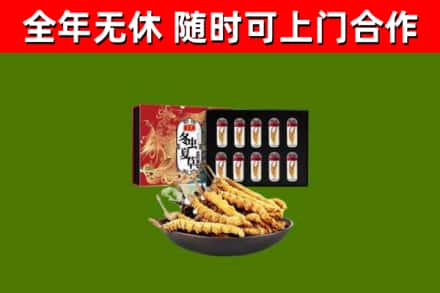 宝鸡烟酒回收冬虫夏草礼盒.jpg